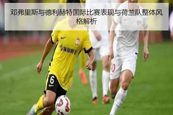 邓弗里斯与德利赫特国际比赛表现与荷兰队整体风格解析（feisu）